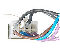 bx pt suprima he plug2 off 200.gif